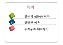 일본의 성문화 발달 부작용과 대처방안-2