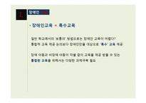 [장애인 복지] 장애인 교육(특수교육) 현황과 문제점 및 발전방안-3