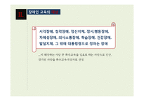 [장애인 복지] 장애인 교육(특수교육) 현황과 문제점 및 발전방안-5