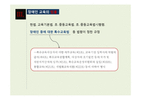 [장애인 복지] 장애인 교육(특수교육) 현황과 문제점 및 발전방안-6