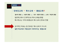 [장애인 복지] 장애인 교육(특수교육) 현황과 문제점 및 발전방안-17