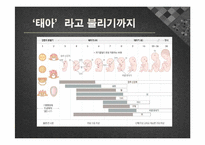 낙태에 대한 찬반 논란-6