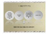 [소비문화] 명품 소비 문화 연구-3