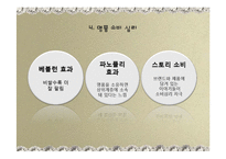 [소비문화] 명품 소비 문화 연구-12