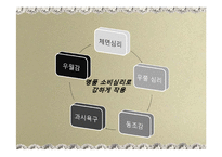 [소비문화] 명품 소비 문화 연구-13