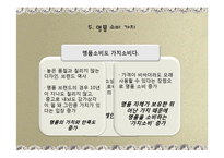 [소비문화] 명품 소비 문화 연구-14