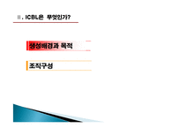 [국제기구론] ICBL의 활동 연구-9