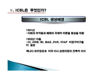 [국제기구론] ICBL의 활동 연구-10