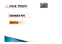 [국제기구론] ICBL의 활동 연구-12