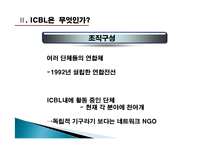 [국제기구론] ICBL의 활동 연구-13