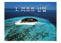 [여가산업론] 국내 리조트 산업의 문제점과 활성방안-3