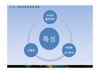[여가산업론] 국내 리조트 산업의 문제점과 활성방안-5
