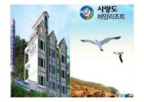 [여가산업론] 국내 리조트 산업의 문제점과 활성방안-11