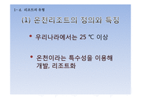 [여가산업론] 국내 리조트 산업의 문제점과 활성방안-12