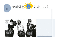 우리나라 명품소비 실태와 한국사회 특징 연구-1