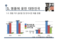 우리나라 명품소비 실태와 한국사회 특징 연구-3