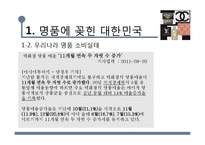 우리나라 명품소비 실태와 한국사회 특징 연구-4