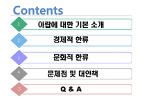 아랍의 경제적, 문화적 한류 현황 분석-2