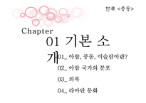 아랍의 경제적, 문화적 한류 현황 분석-3