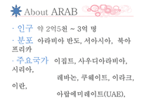 아랍의 경제적, 문화적 한류 현황 분석-4