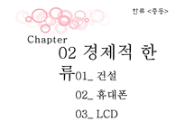 아랍의 경제적, 문화적 한류 현황 분석-11