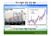 [국제관계] 세계 환경오염 실태와 환경협약 조사-8