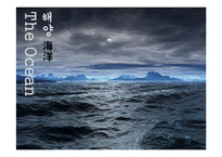 [국제관계] 세계 환경오염 실태와 환경협약 조사-12
