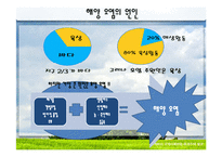 [국제관계] 세계 환경오염 실태와 환경협약 조사-14