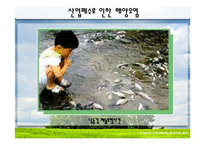 [국제관계] 세계 환경오염 실태와 환경협약 조사-17