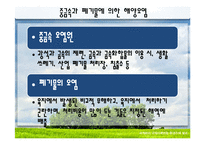 [국제관계] 세계 환경오염 실태와 환경협약 조사-18