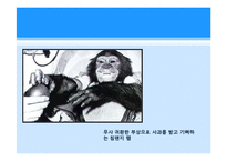 한국 최초 우주인 탄생의 의의-16
