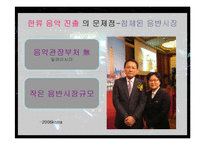 말레이시아 인도네시아에서의 한류의 문제점과 해결방안-17