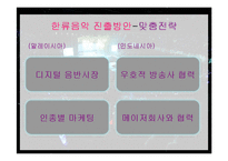 말레이시아 인도네시아에서의 한류의 문제점과 해결방안-19