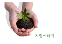 [환경학] 대체에너지의 성공사례-10