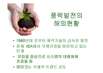 [환경학] 대체에너지의 성공사례-18