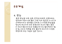 [심리학] 융의 분석 심리학과 종교에 대한 관점-5