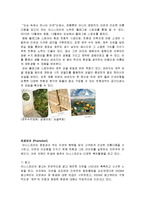 이니스프리 innisfree SWOT분석및 마케팅사례분석과 새로운 마케팅전략제안-11