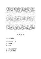 위메이크프라이스(위메프) 기업분석및 마케팅 SWOT,STP,4P전략분석과 new 마케팅전략제안-11