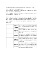 신한카드 VS 현대카드 마케팅 SWOT,STP,4P전략 비교분석-11