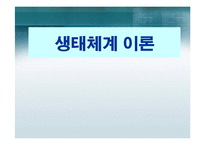 생태체계 이론 레포트-1