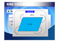 생태체계 이론 레포트-10