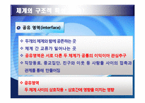 생태체계 이론 레포트-13