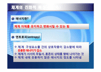 생태체계 이론 레포트-17