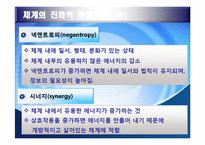 생태체계 이론 레포트-18