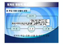 생태체계 이론 레포트-20