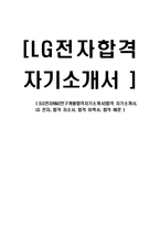 [LG전자R&D연구개발합격자기소개서]합격 자기소개서, LG 전자, 합격 자소서, 합격 이력서, 합격 예문-1