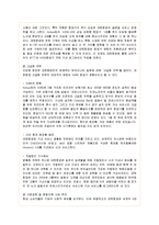 [경영전략] 대한항공의 기업전략 성공사례-11