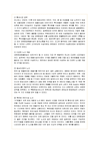 [경영전략] 대한항공의 기업전략 성공사례-18