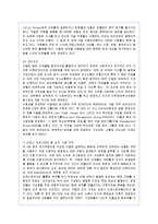 [인사관리] 구글의 인재혁명 성공사례-2