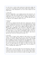 [경영전략] 구글의 한국 진출 실패요인과 개선책-6